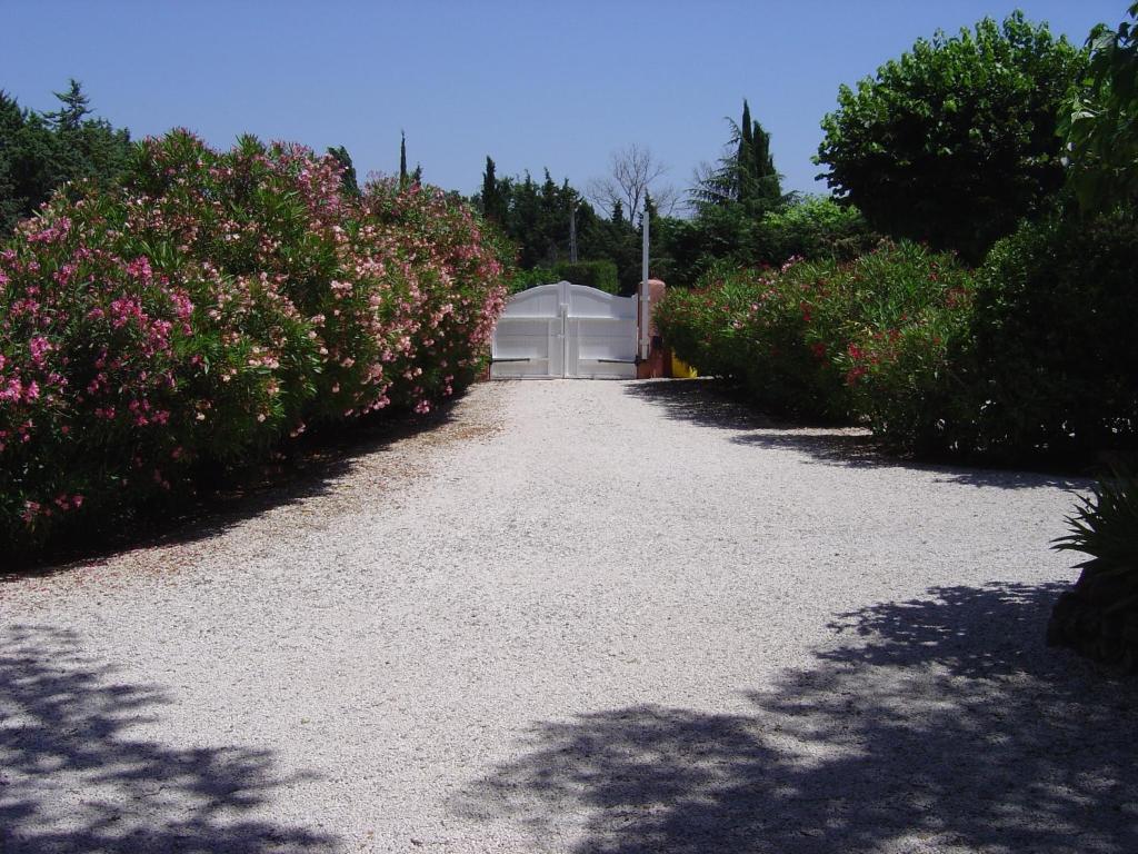 Le Mas Du Bijou Bleu Puget-sur Argens Zimmer foto